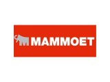Mammoet в Минске